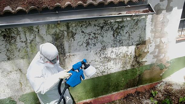 Trusted Mold Inspection service in Martinsburg, PA - Cheap Mold Removal
